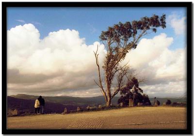 u46/ejramirez/medium/23481738.Galicia00100.jpg