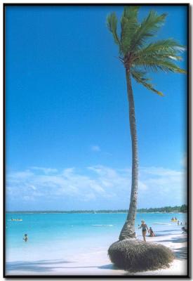 Playa Punta Cana