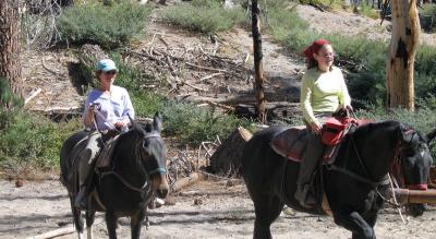 u46/emcmanus/medium/33930349.giddyup2.jpg