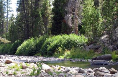 lowriver (2).jpg