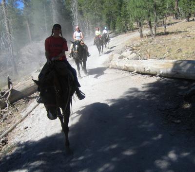 trail1 (2).jpg