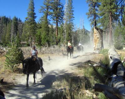 trail2 (2).jpg