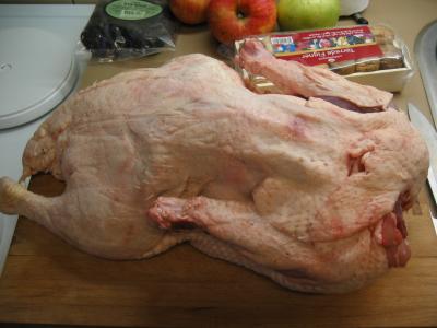 El pato, ya limpio, con puntas de ala cortadas para hacer el fondo para la salsa