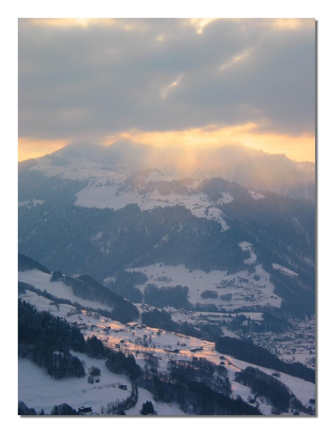 Morning Sun