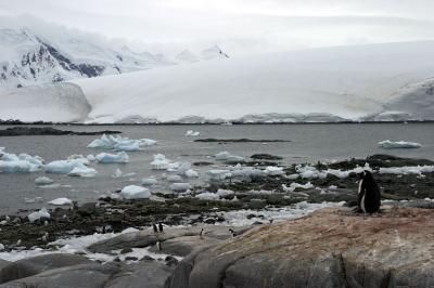 Port Lockroy Hut 8389