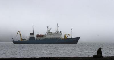 Fur Seal and Shokalskiy 9355