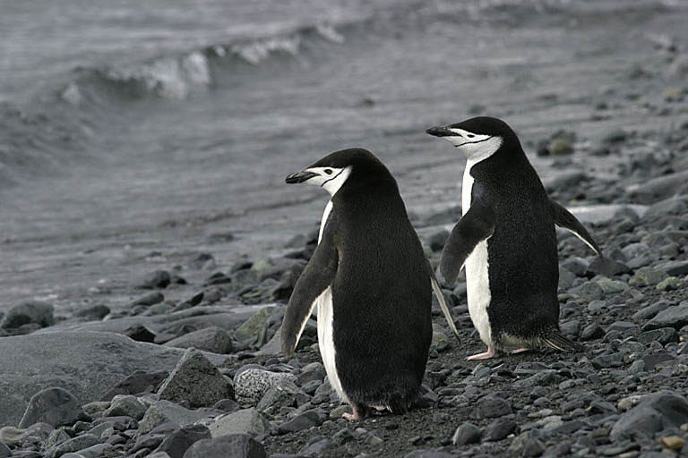 CRW_9458_RT8.jpg