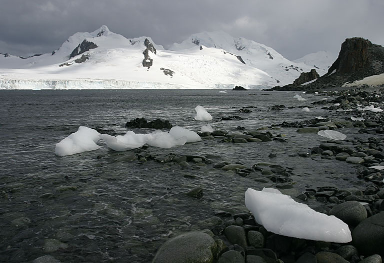 CRW_9677_RT8.jpg
