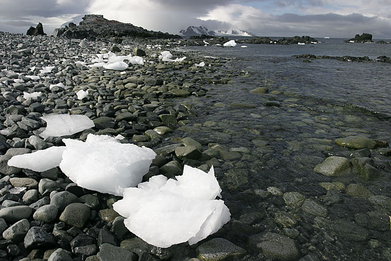CRW_9699_RT8.jpg