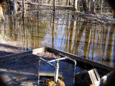 u46/etfitz/medium/39910403.springs.jpg