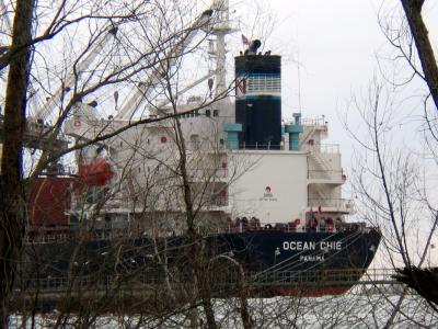 u46/etfitz/medium/39984449.ocean.jpg