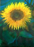 Sunflower Acryl
