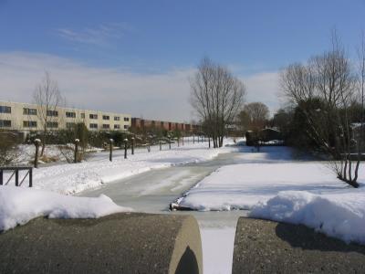 Winter 2005IMG_0016.jpg