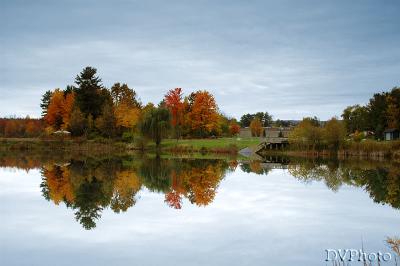 Fall_Colors1.jpg