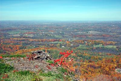 Mtn_View05.jpg