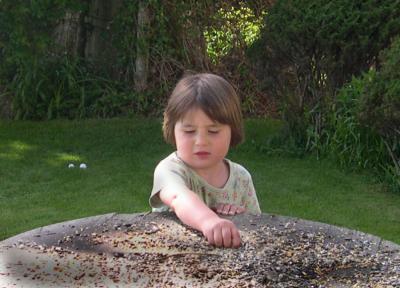 Sylvie playing with bird food