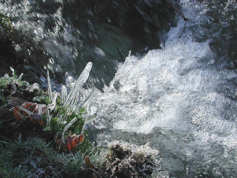Rascafra (2002)