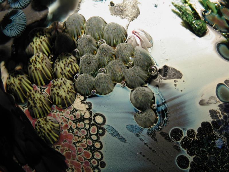 Art in glass (2003)