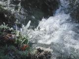 Rascafra (2002)