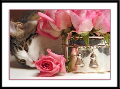 Sometimes you have to stop and smell the roses