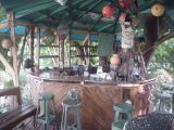 Treetanic Bar, Utila