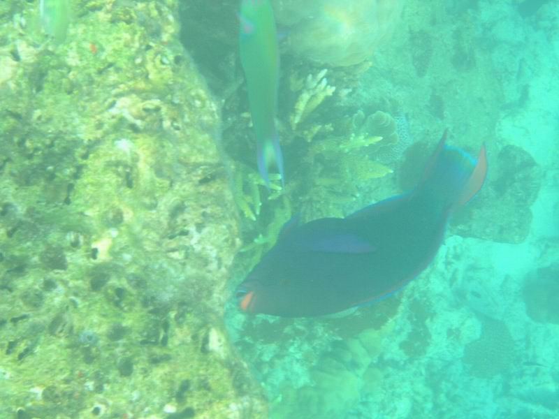 P9280001.JPG