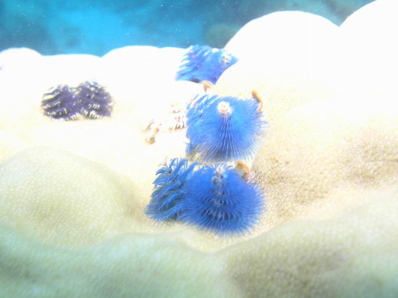 P9280010.JPG