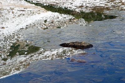 u46/fischerfoto/medium/35352664.IMG_3787_ice_and_reflection_loveland_pass.jpg