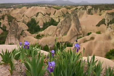 Scenic Overlook