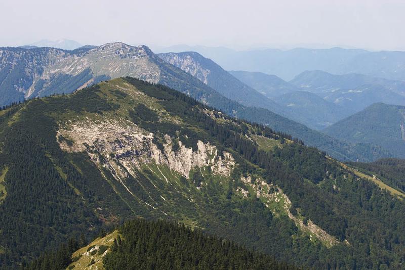 CRW_2383.jpg