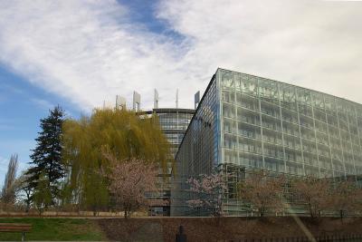u46/gbachmayer/medium/29481887.CRW_3714.jpg