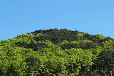 CRW_0473.jpg