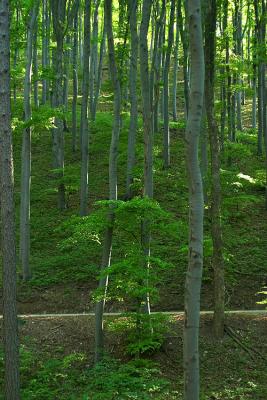 CRW_0490.jpg