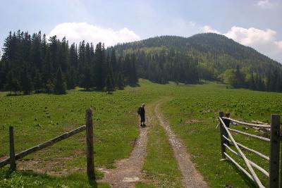 CRW_4470.jpg
