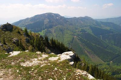 CRW_4491.jpg