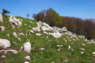 CRW_4492.jpg