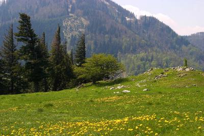 CRW_4502.jpg