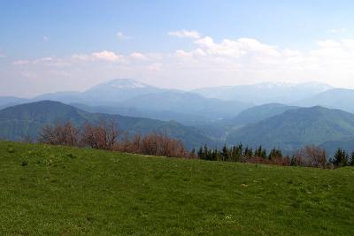 CRW_4524.jpg