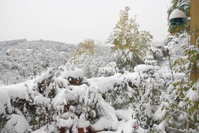 CRW_2860.jpg