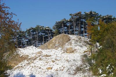CRW_2872.jpg