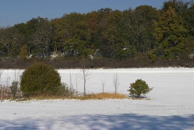 CRW_2877.jpg