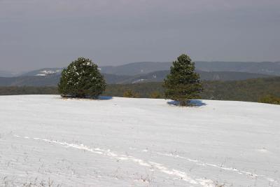 CRW_2885.jpg