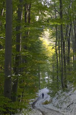 CRW_2889.jpg