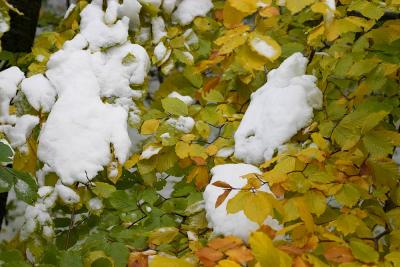 CRW_2890.jpg