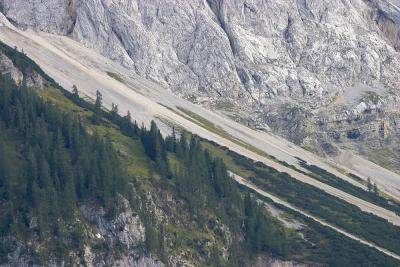 CRW_2644.jpg