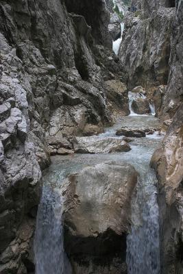 CRW_2709.jpg