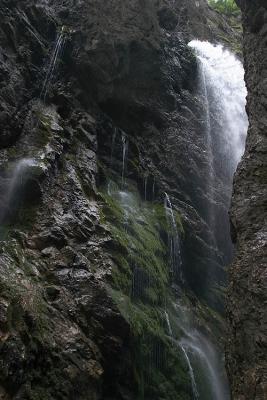 CRW_2716.jpg