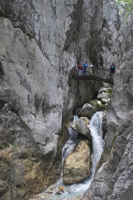 CRW_2726.jpg