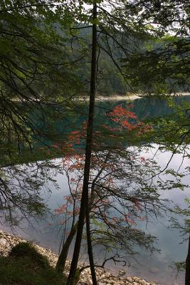 CRW_2751.jpg