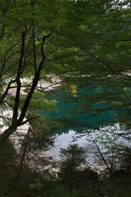 CRW_2752.jpg
